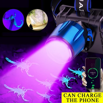C2 Мощный 2 В 1 ультрафиолетовый налобный фонарь USB Перезаряжаемый светодиодный налобный фонарь УФ Фиолетовый EDC Налобный фонарь для кемпинга