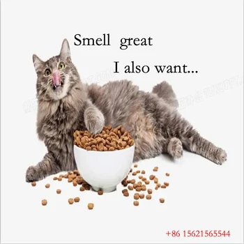 Оптовый Лиофилизированный корм для домашних животных с рыбным вкусом от фабрики Oem Для всех возрастов Сухой корм для кошек