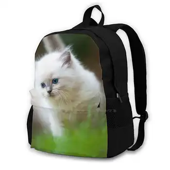 Рюкзаки с ползучим котенком для мужчин, женщин, подростков, Сумки для девочек, Котенок, кошка, белый Пушистый милый Эндрю Уолмсли